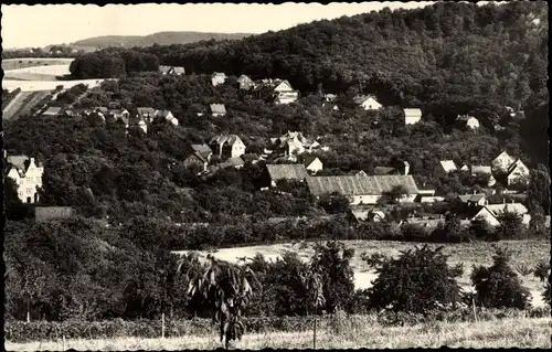 Ak Stecklenberg Thale im Harz, Wohnhäuser, Landschaft