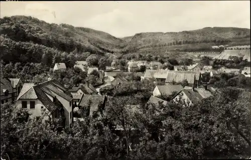 Ak Stecklenberg Thale im Harz, Totalansicht vom Ort