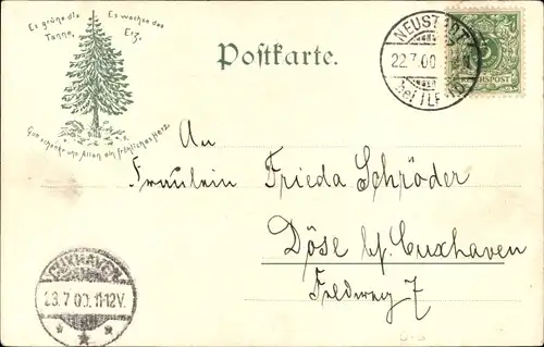 Ak Neustadt am Harz Harztor, Panorama