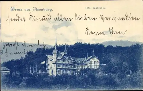 Ak Ilsenburg im Harz, Hotel Waldhöhe