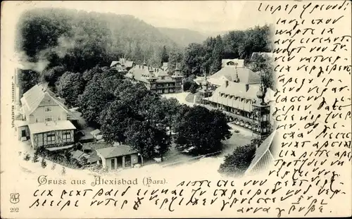 Ak Alexisbad Harzgerode Harz, Teilansicht der Stadt