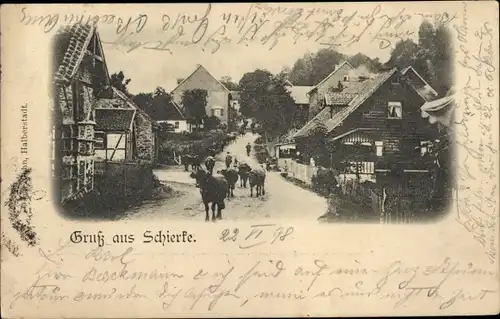 Ak Schierke Wernigerode am Harz, Ortspartie