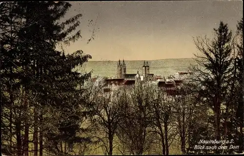 Ak Naumburg an der Saale, Dom, Blick aus der Ferne