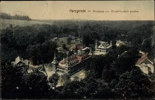 Ak Harzgerode im Harz, Alexisbad vom Birkenhäuschen gesehen