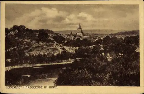 Ak Harzgerode am Harz, Gesamtansicht