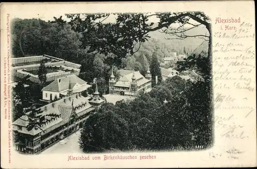 Ak Alexisbad Harzgerode am Harz, Blick vom Birkenhäuschen