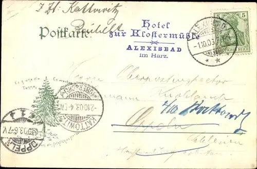 Ak Alexisbad Harzgerode am Harz, Blick vom Birkenhäuschen