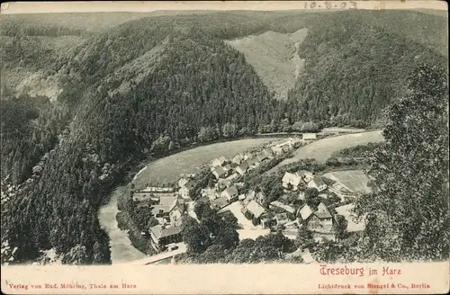 Ak Treseburg Thale im Harz, Blick auf dicht besiedelten Ort, umgeben von Wald