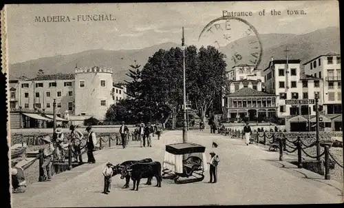 Ak Funchal Insel Madeira Portugal, Eingang der Stadt