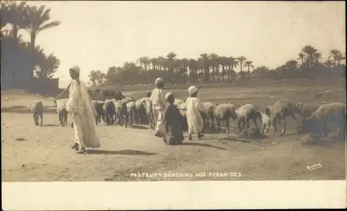 Ak Ägyptische Hirten, Schafe, Ägyptische Volkstracht, Palmen, Landwirtschaft