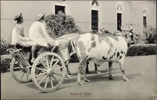 Ak Asien, Rinder-Karren, Männer in Tracht