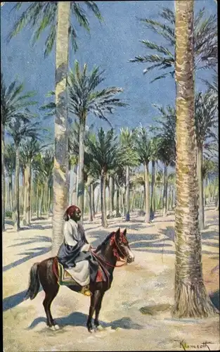 Künstler Ak Kirdasah Kerdasa Ägypten, Palm Grove