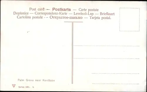 Künstler Ak Kirdasah Kerdasa Ägypten, Palm Grove