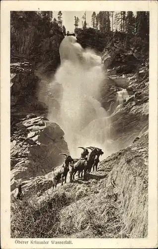 Ak Krimml in Salzburg, Krimmler Wasserfall, Böcke