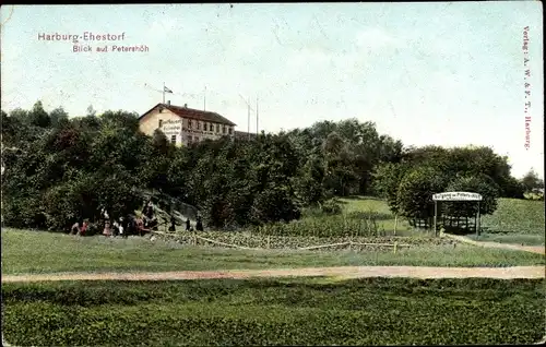 Ak Ehestorf Rosengarten in Niedersachsen, Blick auf Petershöh