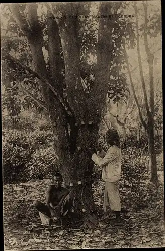 Ak Ceylon Sri Lanka, Zwei Einheimische mit Baum