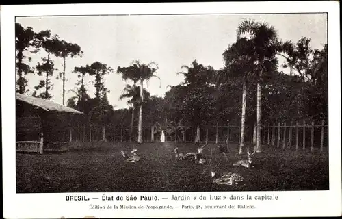 Ak São Paulo Brasilien, Jardim da Luz