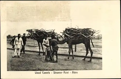 Ak Aden Jemen, Steamer Point, Kamele mit Holz beladen