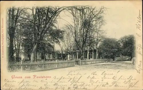 Ak Berlin Zehlendorf Dahlem, Paulsborn, Straßenpartie