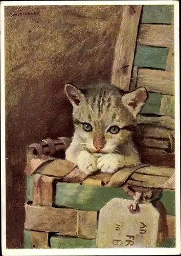 Künstler Ak Schönermark, M., Miau, Katze in einem Korb