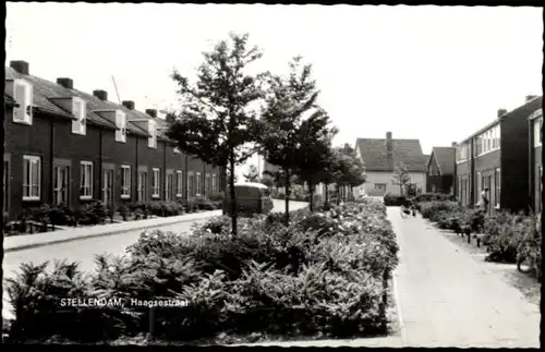 Ak Stellendam Goeree Overflakkee Südholland, Haagsestraat