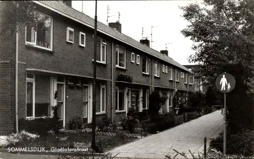 Ak Sommelsdijk Insel Goeree Overflakkee Südholland, Gladiolenstraat