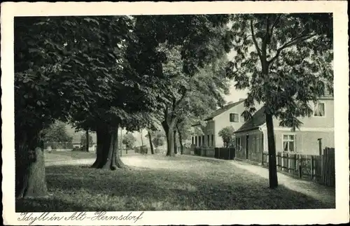 Ak Berlin Reinickendorf Hermsdorf, Idyll, Straßenpartie, Gebäude