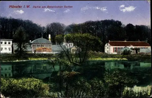 Ak Münster in Westfalen, Botanischer Garten
