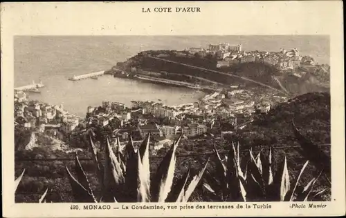 Ak La Condamine Monaco, Vue prise des terrasses de la Turbie