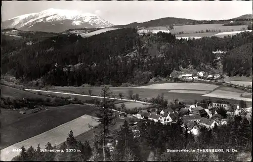 Ak Thernberg Neunkirchen in Niederösterreich, Gesamtansicht, Schneeberg