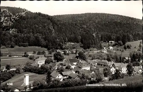 Ak Thernberg Neunkirchen in Niederösterreich, Gesamtansicht