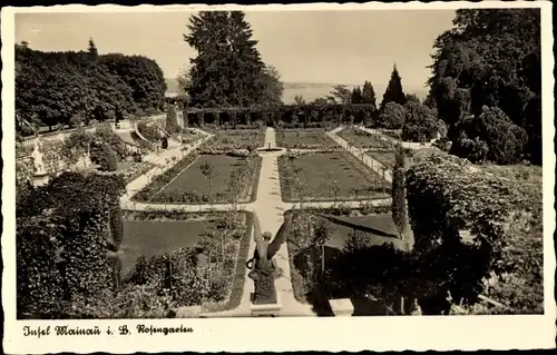 Ak Insel Mainau im Bodensee, Rosengarten