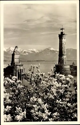 Ak Lindau am Bodensee Schwaben, Magnolienblüte am Hafen, Leuchtturm, Löwe