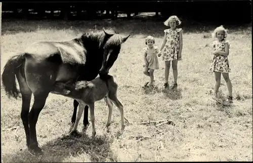 Foto Ak Prinzessin Beatrix der Niederlande mit Schwestern, Pferd, Fohlen, 1946