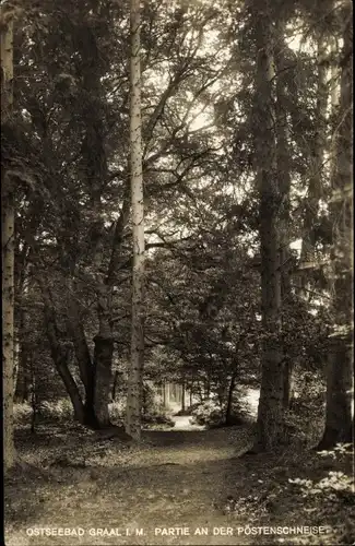 Ak Ostseebad Graal Müritz, Postenschneise