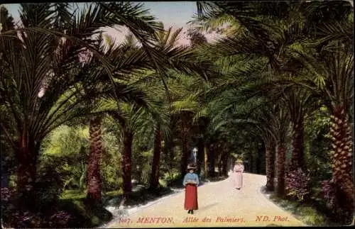 Ak Menton Alpes Maritimes, Palmenallee