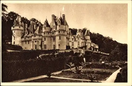 Ak Rigny Usse Indre et Loire, Le Chateau