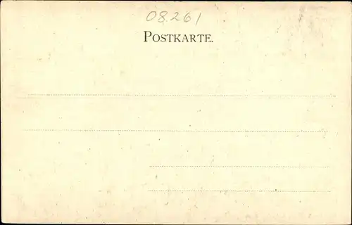 Ak Schöneck im Vogtland, Totalansicht