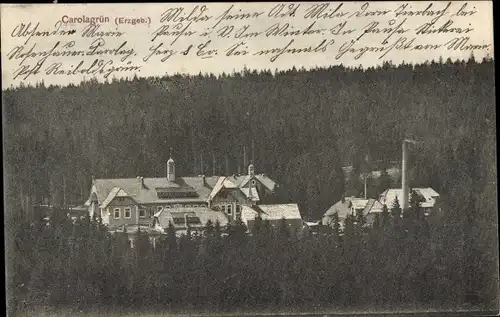 Ak Carolagrün Auerbach im Vogtland, Gebäude, Kamin