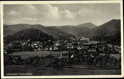 Ak Ilfeld am Harz Thüringen, Panorama