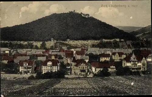 Ak Bad Lauterberg im Harz, Panorama