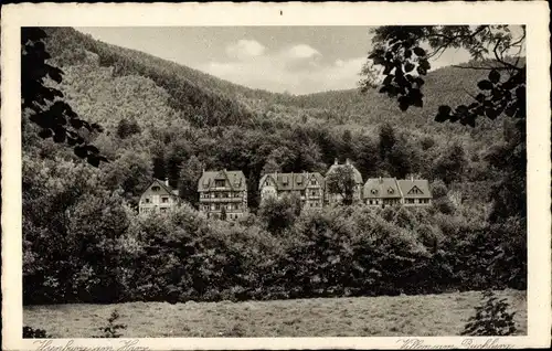 Ak Ilsenburg im Harz, Villen am Buchberg