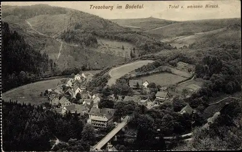 Ak Treseburg Thale im Harz, Blick vom weissen Hirsch