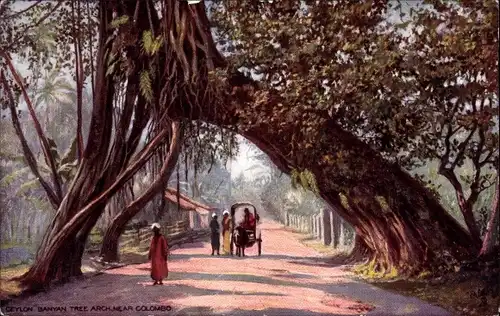 Künstler Ak Kandy Ceylon Sri Lanka, Banyan Tree Arch bei Colombo, Tuck Series II Nr. 7482