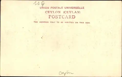 Ak Colombo Ceylon Sri Lanka, Bullock Hackery und Richsha