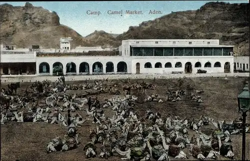 Ak Aden Jemen, Camp, Kamelmarkt