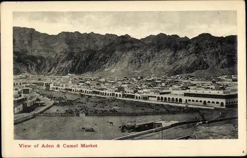 Ak Aden Jemen, Stadtpanorama, Kamelmarkt