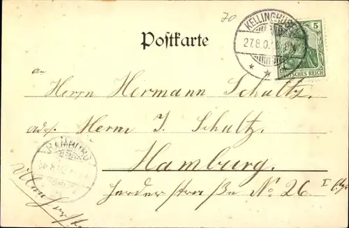 Ak Kellinghusen in Holstein, Villa Alsen, Totalansicht