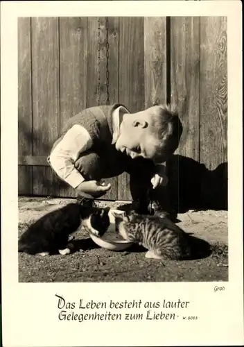Ak Das Leben besteht aus lauter Gelegenheiten zum Lieben, Junge, kleine Katzen mit Futterschale