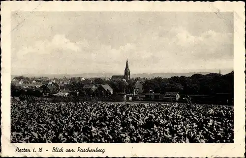 Ak Herten in Nordrhein Westfalen, Blick vom Paschenberg